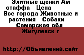 Элитные щенки Ам.стаффа › Цена ­ 25 000 - Все города Животные и растения » Собаки   . Самарская обл.,Жигулевск г.